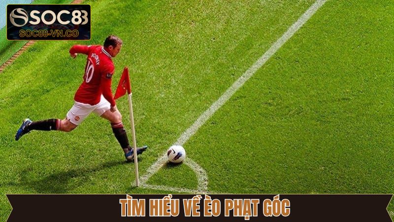 Kèo Phạt Góc - Cách Đọc Tỷ Lệ Cược Chi Tiết Cho Newbie 2 Giải đáp chi tiết về kèo phạt góc cho hội viên